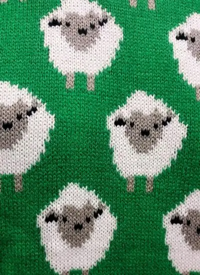 Close-up of green knit sweater with sheep pattern